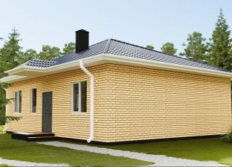 Продам дом, 100 м2, деревня Самохваловка, Виражная улица