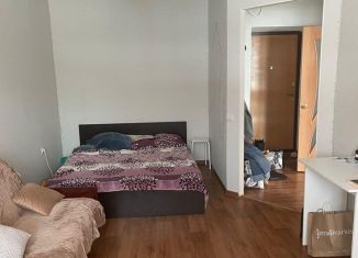 Сдача в аренду 1-ком. квартиры, 42 м2, Татарстан, улица Салиха Батыева