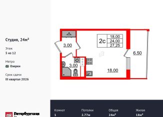 Квартира на продажу студия, 24 м2, Санкт-Петербург, метро Проспект Просвещения