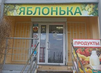 Продается помещение свободного назначения, 56.5 м2, Челябинск, Тракторозаводский район, улица Конструктора Духова, 3