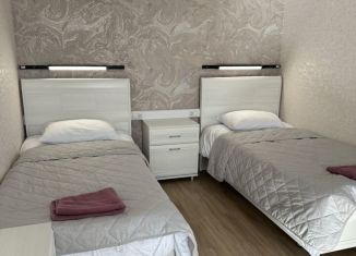 Сдаю в аренду квартиру студию, 35 м2, Петропавловск-Камчатский, улица Ушакова, 17