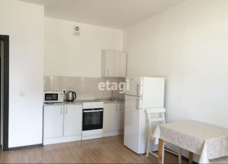 Квартира в аренду студия, 30 м2, Мурино, улица Шувалова, 7