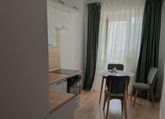 Сдается в аренду 1-ком. квартира, 35 м2, Санкт-Петербург, Коломяжский проспект, 15к1, метро Пионерская