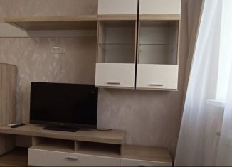 Сдается 1-ком. квартира, 50 м2, Самара, улица Врубеля, 17, метро Гагаринская