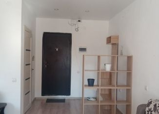 Квартира в аренду студия, 29.5 м2, Бурятия, 105-й микрорайон, 39