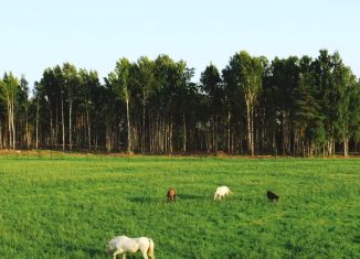 Продажа участка, 20 сот., Ленинградская область