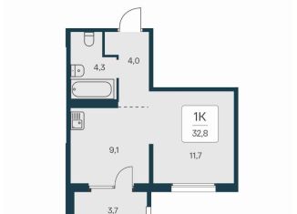 Продажа 1-комнатной квартиры, 32.8 м2, Новосибирская область