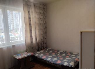 Квартира в аренду студия, 18 м2, Новосибирск, улица Твардовского, 22