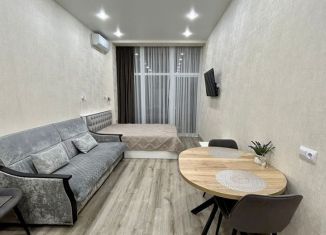 Сдается квартира студия, 30 м2, Геленджик, Крымская улица