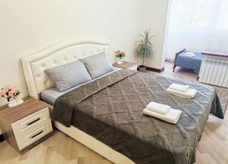 Аренда 2-комнатной квартиры, 60 м2, Ставропольский край, Зашкольный переулок, 3