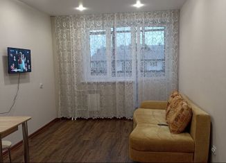 Квартира в аренду студия, 28 м2, Хакасия, улица Кирова, 185к1