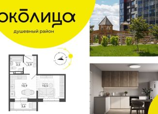 Продам 1-комнатную квартиру, 28.8 м2, Новосибирская область, микрорайон Околица, 12С