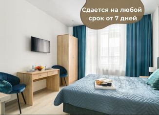 Сдам в аренду квартиру студию, 28 м2, Санкт-Петербург, Торфяная дорога, 15к3, метро Пионерская