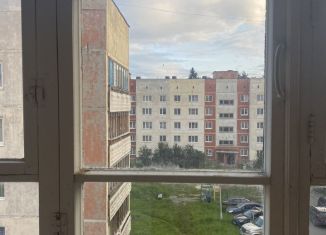 2-ком. квартира в аренду, 50 м2, Новоуральск, улица Сергея Дудина, 13