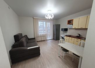 Сдается квартира студия, 29 м2, Новосибирск, Красный проспект, 331