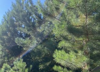 Продажа участка, 10 сот., деревня Дмитриевка