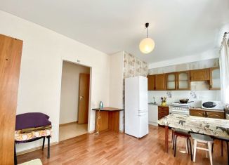 Продажа 1-комнатной квартиры, 39 м2, Казань, Низенькая улица, 7