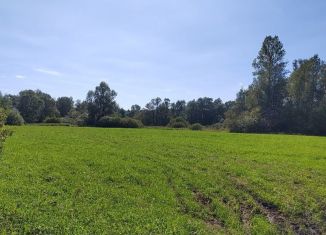 Продается земельный участок, 208 сот., деревня Устье-Бассы, Басинская улица