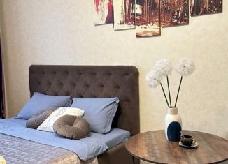 Сдаю в аренду 1-ком. квартиру, 40 м2, Екатеринбург, Заводская улица, 73