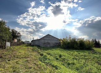 Продаю дом, 60 м2, деревня Старые Бирюли, Южная улица, 4