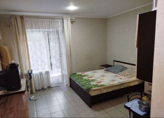 Сдаю квартиру студию, 20 м2, Ростов-на-Дону, улица Водников, 9А