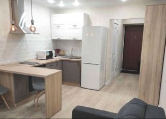 Продается квартира студия, 14 м2, Москва, улица Красного Маяка, 8к1, метро Пражская