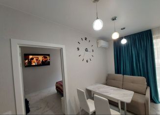 Сдача в аренду 1-комнатной квартиры, 40 м2, Сочи, улица Бытха, 4/10А, микрорайон Бытха