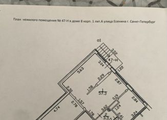 Сдаю торговую площадь, 61 м2, Санкт-Петербург, улица Есенина, 8к1, муниципальный округ Сосновское