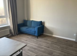 Аренда 1-ком. квартиры, 38.5 м2, Челябинск, улица Академика Макеева, 28, ЖК Ньютон