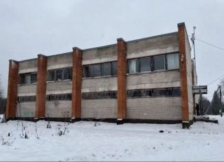 Производство на продажу, 9993 м2, Псковская область, Приозёрная улица, 8