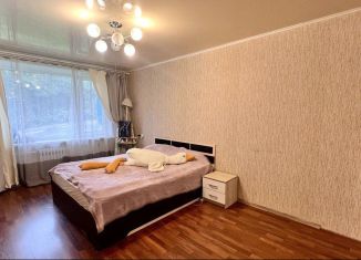 Продажа 1-комнатной квартиры, 30.3 м2, Петропавловск-Камчатский, улица Кирдищева, 12