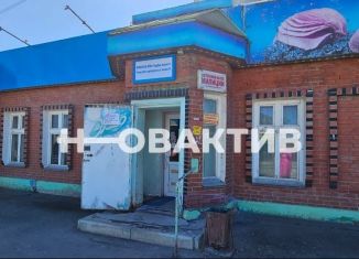 Продаю помещение свободного назначения, 137.9 м2, Новосибирск, улица Чапаева, 7/4