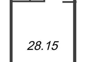 Продаю квартиру студию, 28.2 м2, Санкт-Петербург, Невский район, проспект Большевиков, уч3