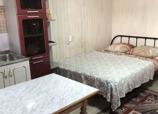 Сдаю дом, 20 м2, Республика Алтай, Красноармейская улица, 1