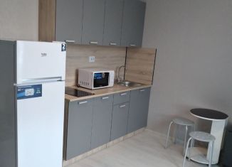 Квартира в аренду студия, 20 м2, Санкт-Петербург, Кубинская улица, 82к3с1, Московский район