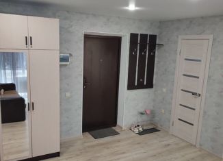 Аренда 1-комнатной квартиры, 30 м2, Михайловск, Музыкальная улица, 10