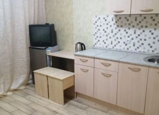 Сдам в аренду квартиру студию, 16 м2, Тюмень, улица Новосёлов, 115, Калининский округ