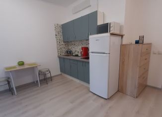 Сдаю квартиру студию, 25 м2, Санкт-Петербург, Арцеуловская аллея, 21