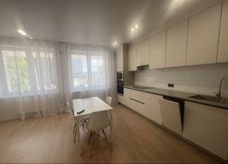 Сдается в аренду 2-ком. квартира, 65 м2, Уфа, улица Пархоменко, 123