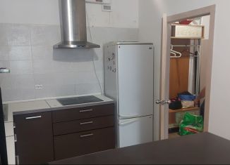 Сдаю в аренду 1-ком. квартиру, 50 м2, Екатеринбург, микрорайон Светлый, 7