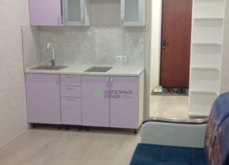 Продам квартиру студию, 28 м2, село Михайловка, Новоуфимская улица, 15