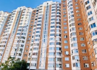 Продажа однокомнатной квартиры, 38 м2, деревня Путилково, Садовая улица, 19