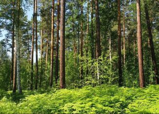 Продам участок, 42 сот., посёлок Еловый