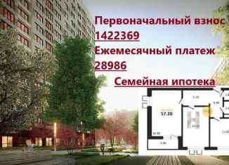 Продам 2-ком. квартиру, 57.2 м2, Воронеж, Центральный район, улица Шишкова, 140Б/6