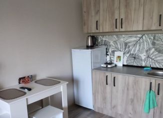 Сдается в аренду квартира студия, 25 м2, Анапа, улица Кирова, 3А