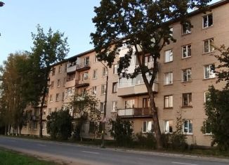 Продажа однокомнатной квартиры, 30 м2, Сланцы, Партизанская улица, 21