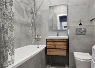 Аренда квартиры студии, 23 м2, Кудрово, проспект Строителей, 16
