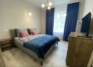 Сдается 2-ком. квартира, 45.5 м2, Рославль, улица Каляева, 81А