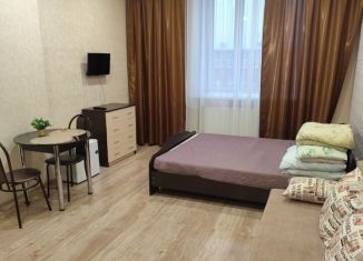 Аренда квартиры студии, 27 м2, Пермь, улица Куйбышева, 109А