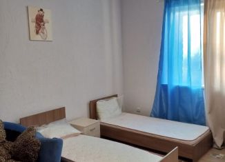 Сдается однокомнатная квартира, 27 м2, Екатеринбург, переулок Чуцкаева, 5